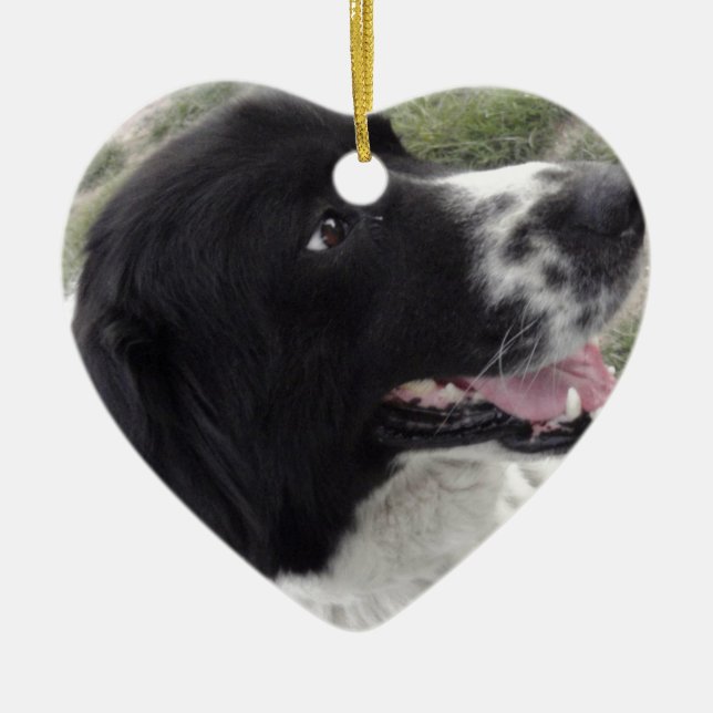 Bulgarischer Schäfer-Hund Sara Keramikornament (Vorne)