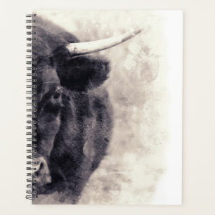 Bull and Bear Planer