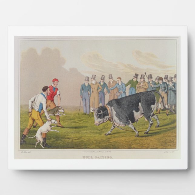 'Bull Baiting', pub.by Thomas McLean, 1820, (Druck Fotoplatte (Vorderseite)