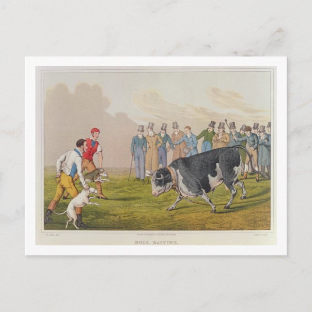 'Bull Baiting', pub.by Thomas McLean, 1820, (Druck Postkarte (Vorderseite)