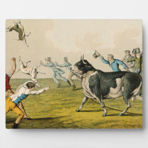 'Bull Baiting', Pub. von Thomas McLean, 1820, (pri Fotoplatte
