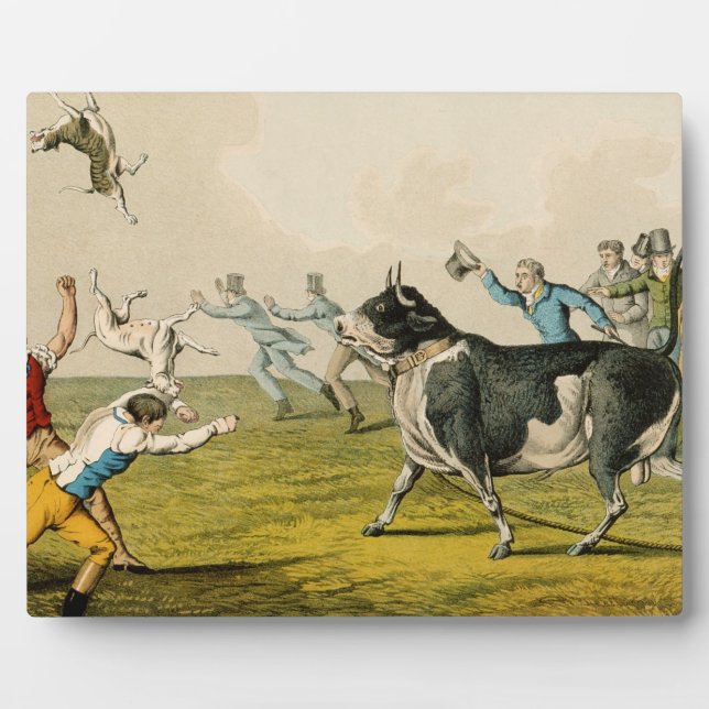 'Bull Baiting', Pub. von Thomas McLean, 1820, (pri Fotoplatte (Vorderseite)