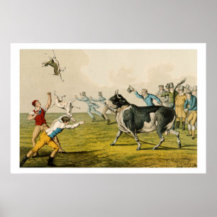 'Bull Baiting', Pub. von Thomas McLean, 1820, (pri Poster