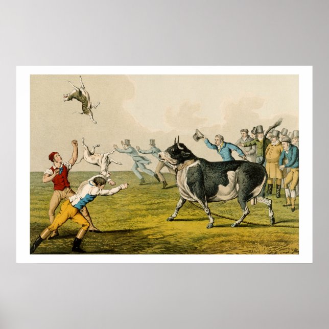 'Bull Baiting', Pub. von Thomas McLean, 1820, (pri Poster (Vorne)