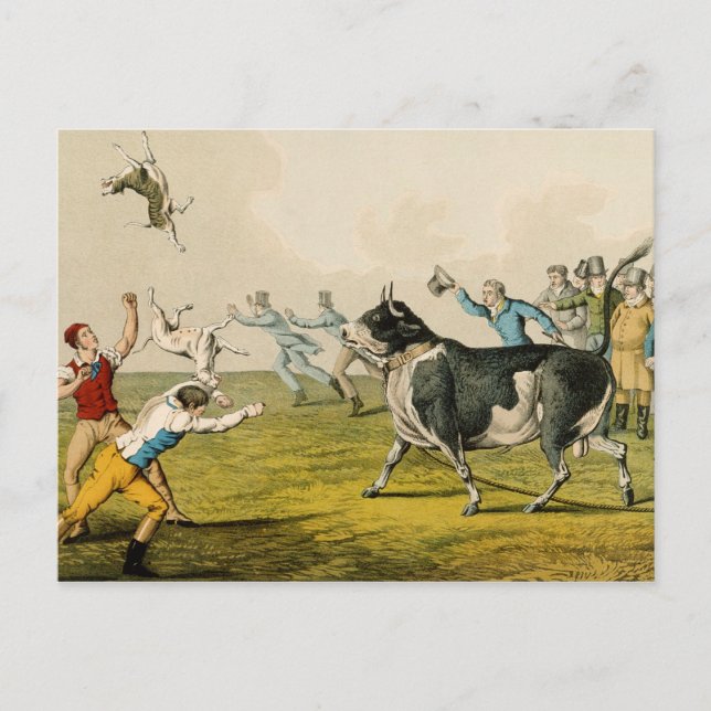 'Bull Baiting', Pub. von Thomas McLean, 1820, (pri Postkarte (Vorderseite)