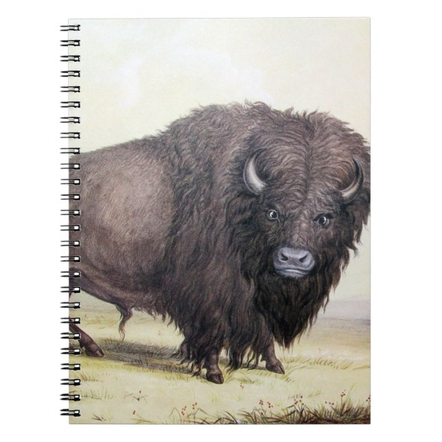 Bull Buffalo Notizblock (Vorderseite)