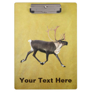 Bull Caribbean Klemmbrett