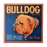 Bull Dog auf blauem Hintergrund Fliese<br><div class="desc">Ein Vintages Kratetikett,  das einen Bulldog mit einem blauen gemusterten Hintergrund und einem orangefarbenen Rand illustriert. Wählen Sie diesen Kunstdruck auf Ihrem Zazzle-Produkt heute.</div>