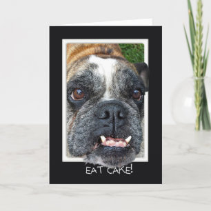 Bull Dog Birthday humor Karte