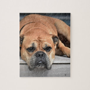Bull Dog Puzzle