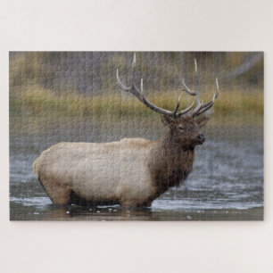 Bull-Elch überquert Yellowstone-Nationalpark Puzzle