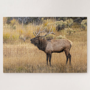 Bull-Elch Yellowstone-Nationalpark Puzzle