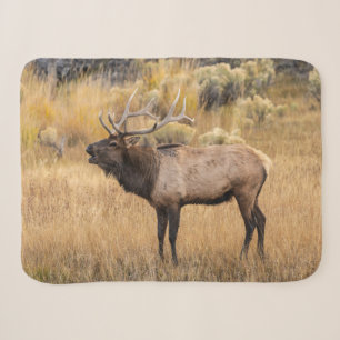 Bull-Elch Yellowstone-Nationalpark Sherpadecke