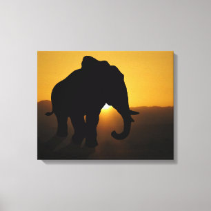 Bull Elephant Leinwanddruck