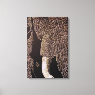 Bull Elephant Leinwanddruck