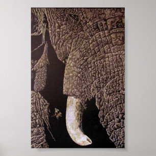 Bull Elephant Poster