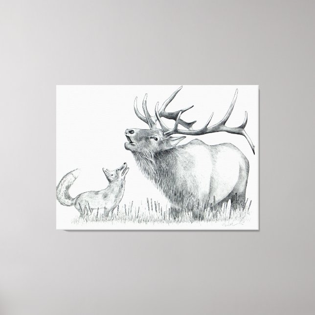 Bull Elk and Fox Leinwanddruck (Vorderseite)