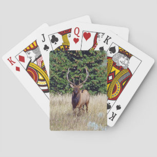 Bull Elk Bicycle Playing Cards Spielkarten