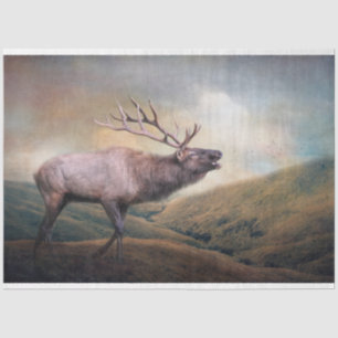 Bull Elk Bugling Wildlife Decoupage Seidenpapier