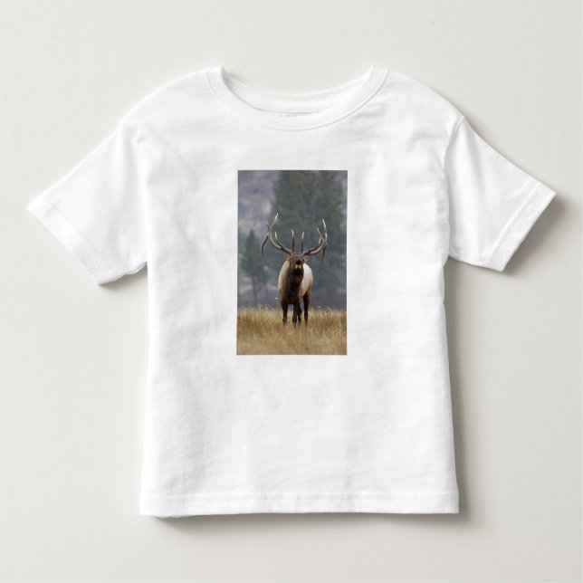 Bull Elk bugling, Yellowstone NP, Wyoming 2 Kleinkind T-shirt (Vorderseite)