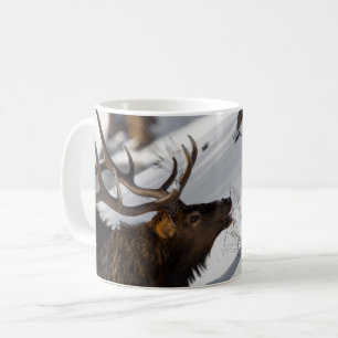 Bull Elk Grazing on Snowy Slove, Yellowstone Kaffeetasse