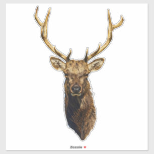 Bull Elk Head Tierart Wildtiere Aufkleber