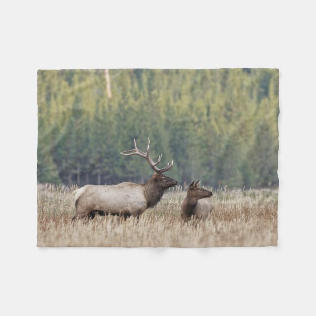 Bull Elk in Meadow | Yellowstone-Nationalpark Fleecedecke (Vorderseite (Horizontal))
