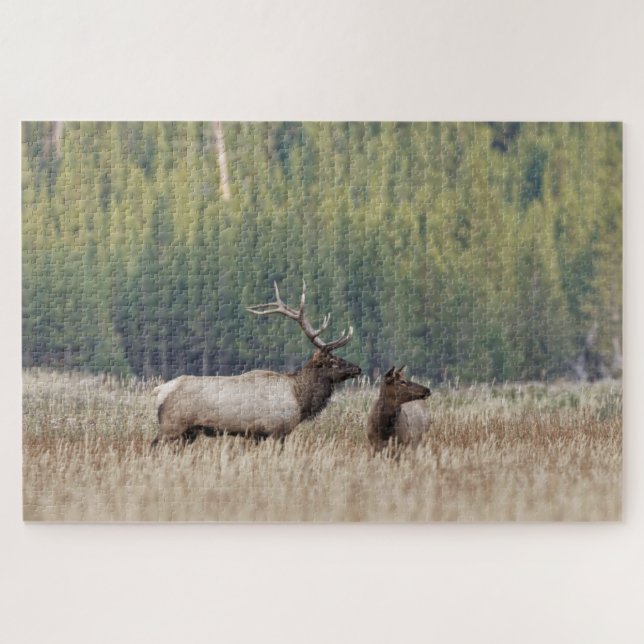 Bull Elk in Meadow | Yellowstone-Nationalpark Puzzle (Horizontal)
