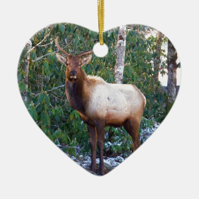 Bull Elk in Rhododendren Keramikornament (Vorne)