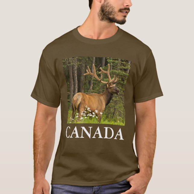Bull elk in samvet, Kanada T-Shirt (Vorderseite)