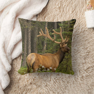 Bull Elk in Velvet, Kanada Kissen