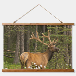 Bull Elk in Velvet, Kanada Wandteppich Mit Holzrahmen