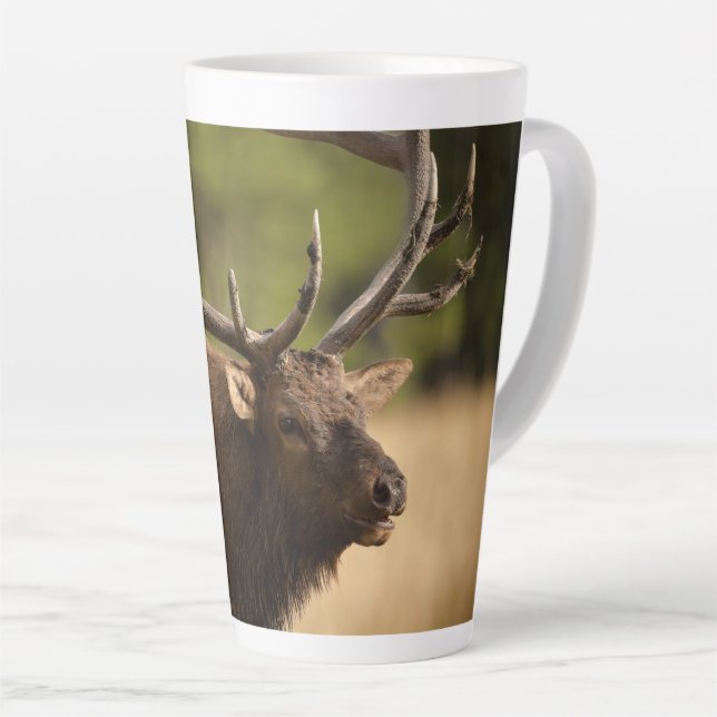 Bull Elk Latte Tasse (Rechte Ecke)