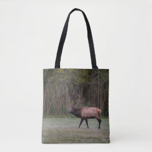 Bull Elk Morning Walk