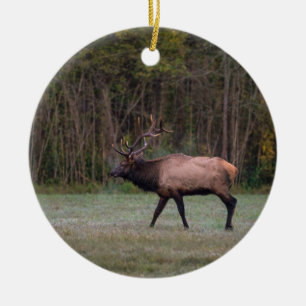 Bull Elk Morning Walk Keramik Ornament