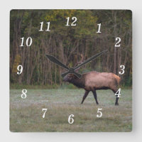 Bull Elk Morning Walning Wall Uhr