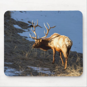Bull Elk Mousepad