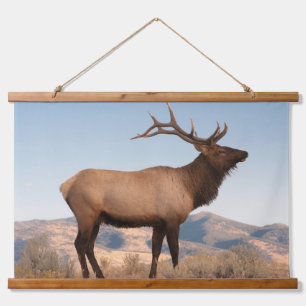 Bull Elk Near Mammoth Wyoming Wandteppich Mit Holzrahmen