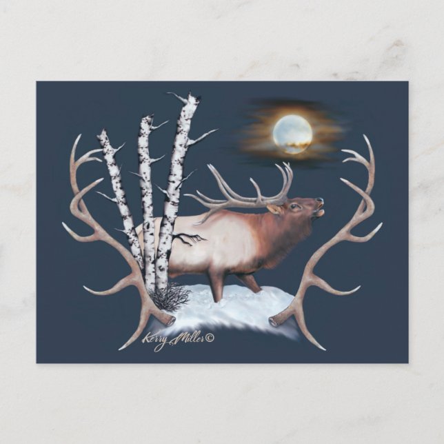 Bull Elk Postcard Postkarte (Vorderseite)