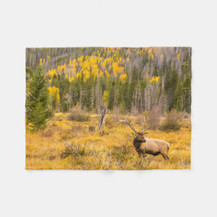 Bull Elk Rocky Mountain National Park Colorado Fleecedecke