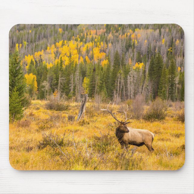 Bull Elk | Rocky Mountain Nationalpark Colorado Mousepad (Vorne)