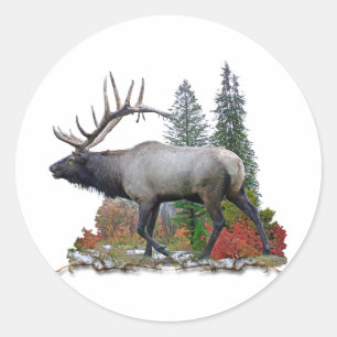 Bull Elk Runder Aufkleber
