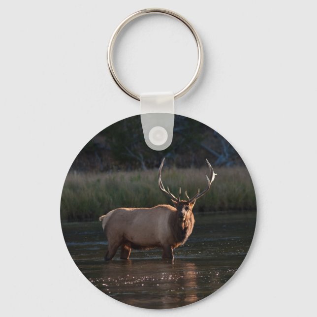 Bull Elk Schlüsselanhänger (Vorderseite)