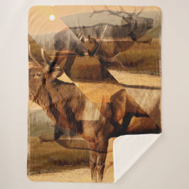 Bull Elk Sunrise Collage Sherpadecke