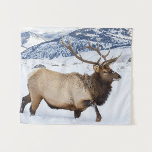 Bull Elk   Wyoming Wandteppich