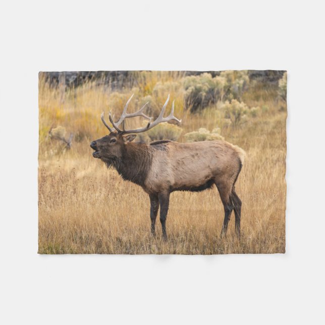 Bull Elk | Yellowstone-Nationalpark Fleecedecke (Vorderseite (Horizontal))