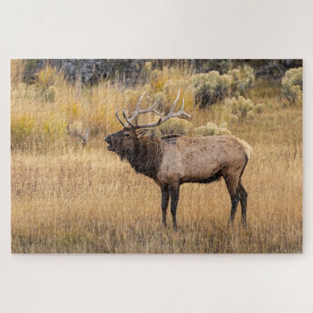 Bull Elk | Yellowstone-Nationalpark Puzzle (Horizontal)