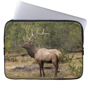Bull Elk Yellowstone Nationalpark, Wyoming Laptopschutzhülle