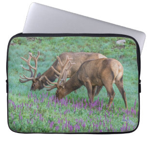 Bull Elks Rocky Mountain National Park, Colorado Laptopschutzhülle