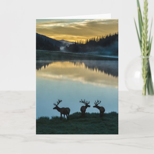 Bull Elks Silhouette Poudre Lake Sunrise Karte (Vorderseite)